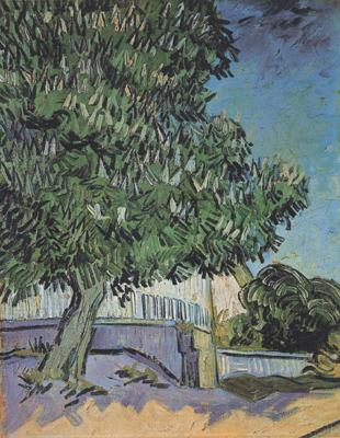 Vincent Van Gogh Chestnut Tree in Blossom (nn04) Norge oil painting art